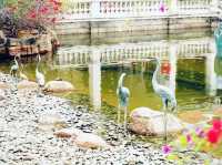 青衣公園