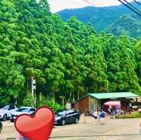 新竹關西｜馬武督探索森林 夏日避暑好去處