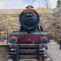 The Wizarding World of Harry Potter 