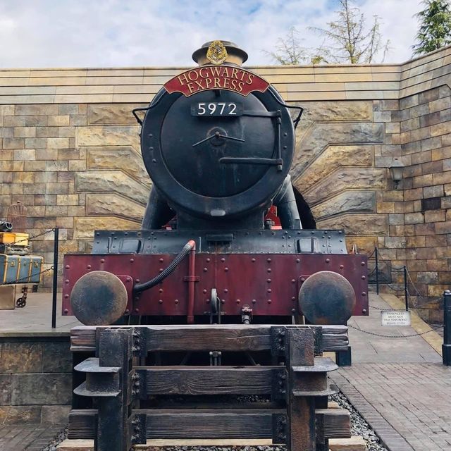 The Wizarding World of Harry Potter 
