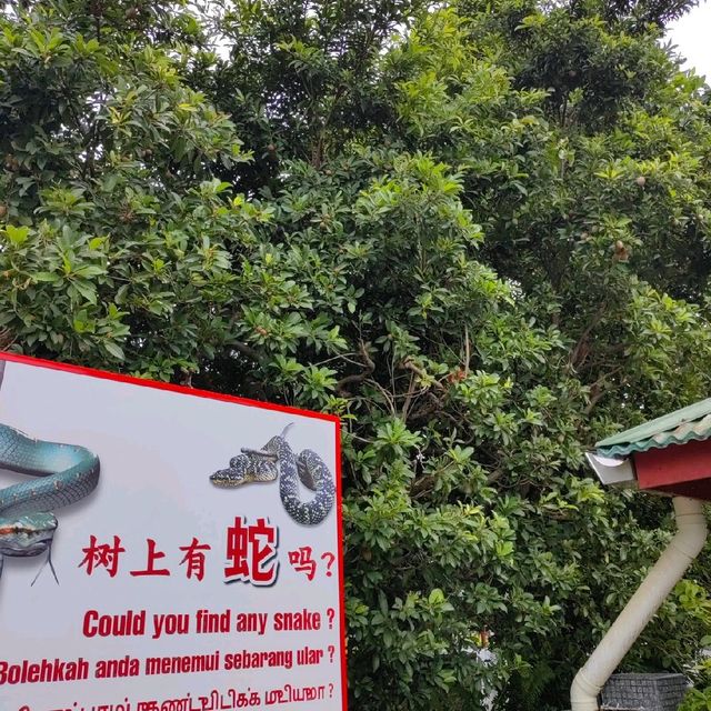 Snake Temple @Penang Island