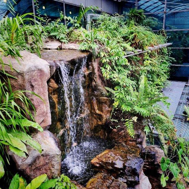 Butterfly Garden In An Airport