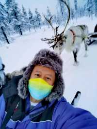 Reindeer Sleigh Ride @Lapland 