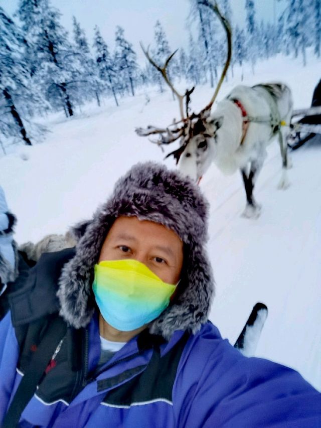 Reindeer Sleigh Ride @Lapland 