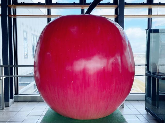 青森県の定番スポット！弘前城！