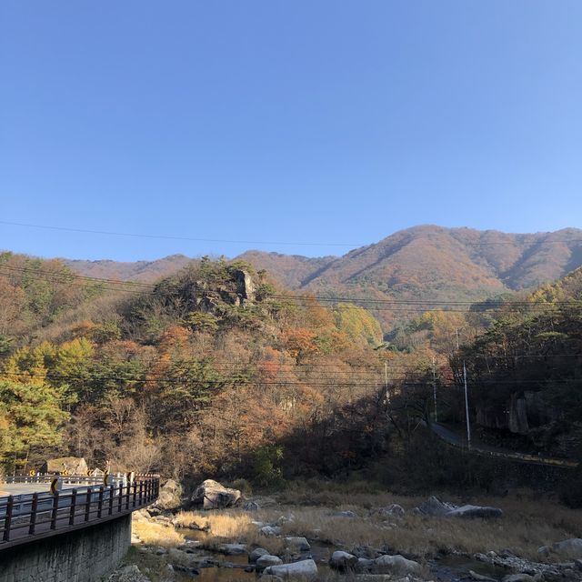 단풍 보러 떠난 단양 여행 -1