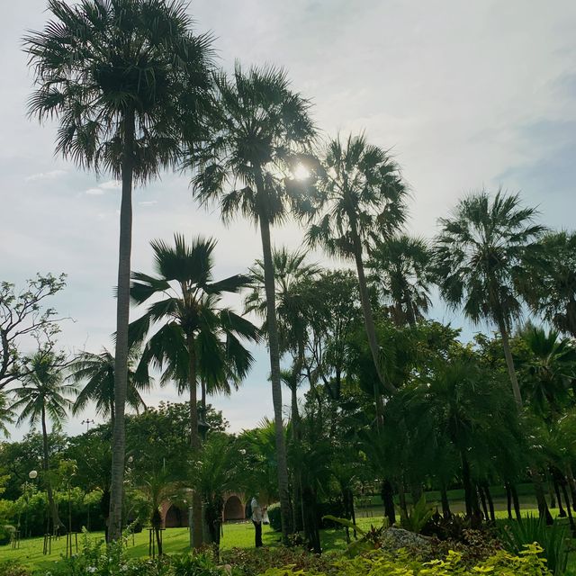 Hidden Park in the Middle of Bangkok
