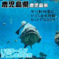 鹿児島県/鹿児島市【いおワールド かごしま水族館】