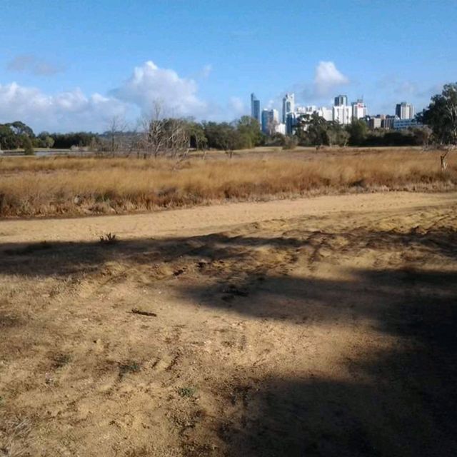 Spot Kangaroos in the Pokémon island