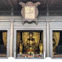 大埔地標慈山寺🙏🏻放假好去處‼️了解佛教之地