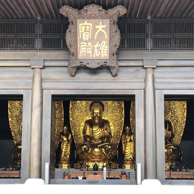 大埔地標慈山寺🙏🏻放假好去處‼️了解佛教之地