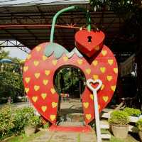 Sunny Love Strawberry in Pai