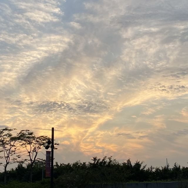 尋找失散的舊時代，M+博物館體驗之旅