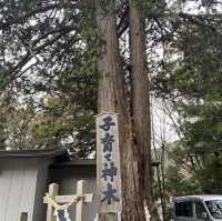 美麗嘅新倉富士淺間神社