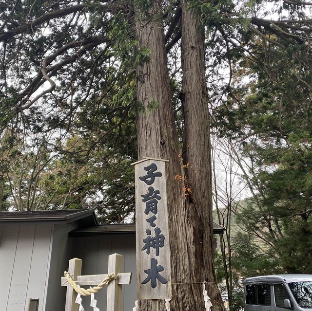 美麗嘅新倉富士淺間神社