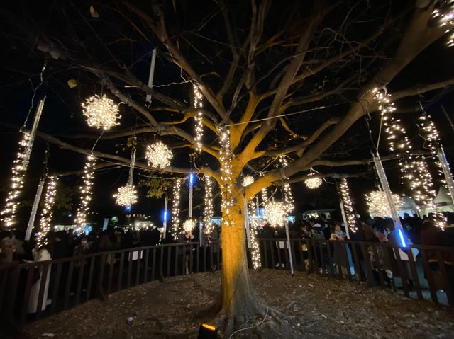 神奈川・横浜。『Christmas Market 2022 in 横浜赤レンガ倉庫』