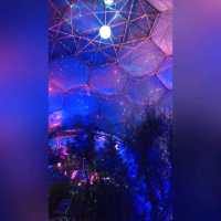 化腐朽為神奇～Eden Project @Cornwall