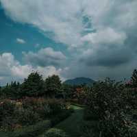 Flower Garden Nusantara
