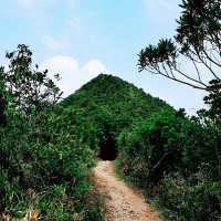 尖削如錐的鷓鴣山