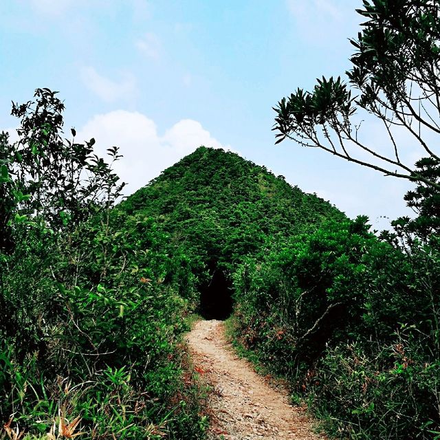 尖削如錐的鷓鴣山 尖削如錐的鷓鴣山
