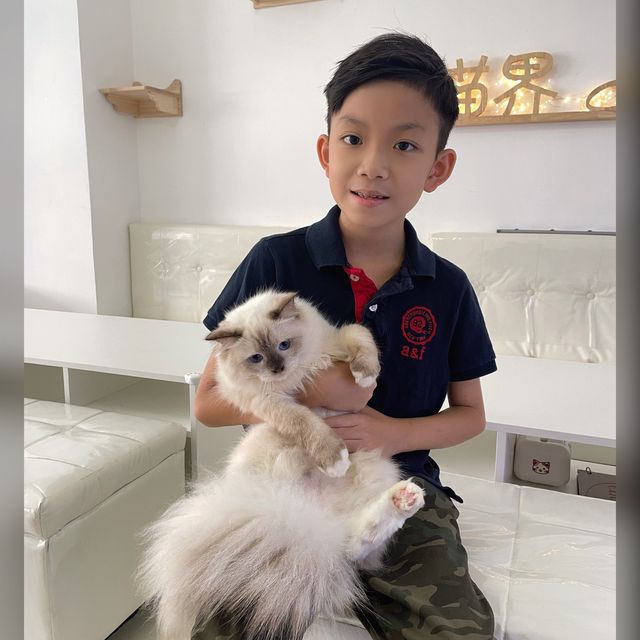 超多貓·貓cafe·喵界 超多貓·貓cafe·喵界