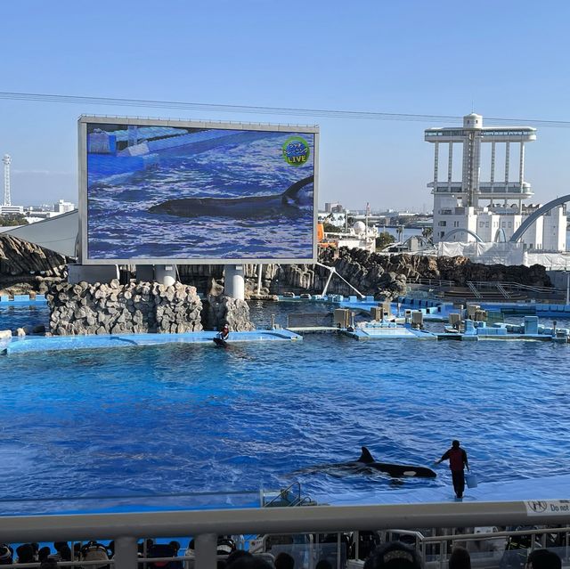 名古屋港水族館