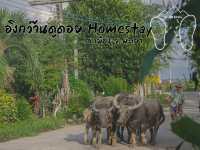 🏘️อิงกว๊านดูดอย Homestay-​ที่พักริมกว๊านพะเยา