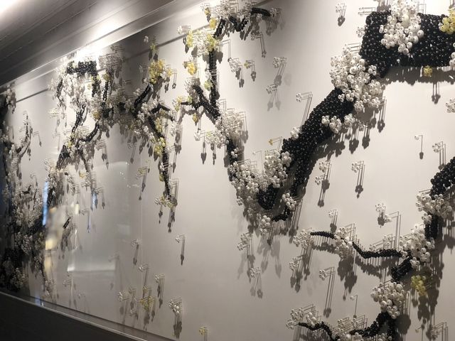 ［米芝蓮星级⭐️中菜］