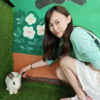 Colmar Tropicale and Genting Trip