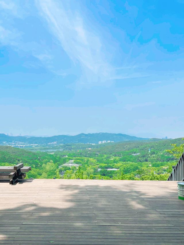 청계산에서 만난 멋진 전망대