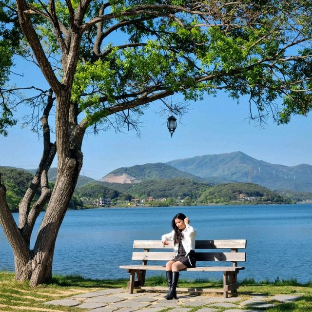 보령 청천저수지 스튜디오카페, "블루레이크"