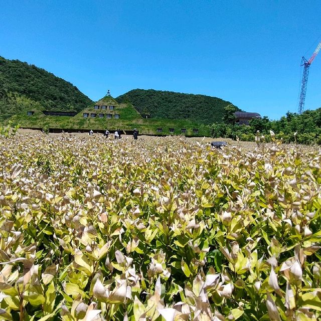 【滋賀 近江八幡】ラコリーナ近江八幡でジブリ体験✨