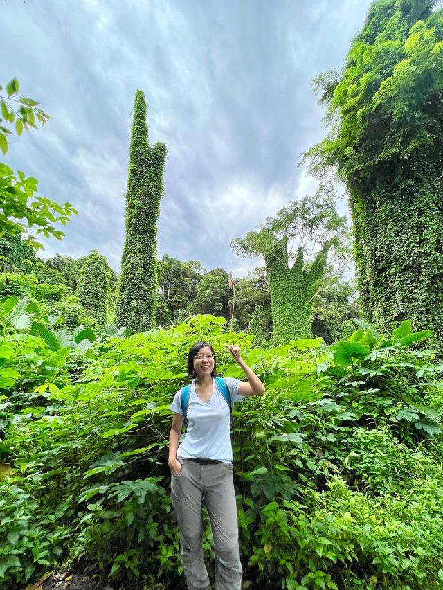 Searching for the Avatar Trees of Singapore