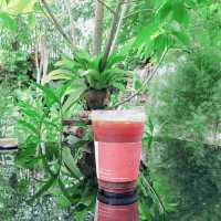 บ้านสวนแสนรัก Garden Cafe' & Restaurant 