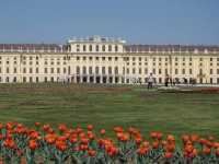 Schönbrunn Palace