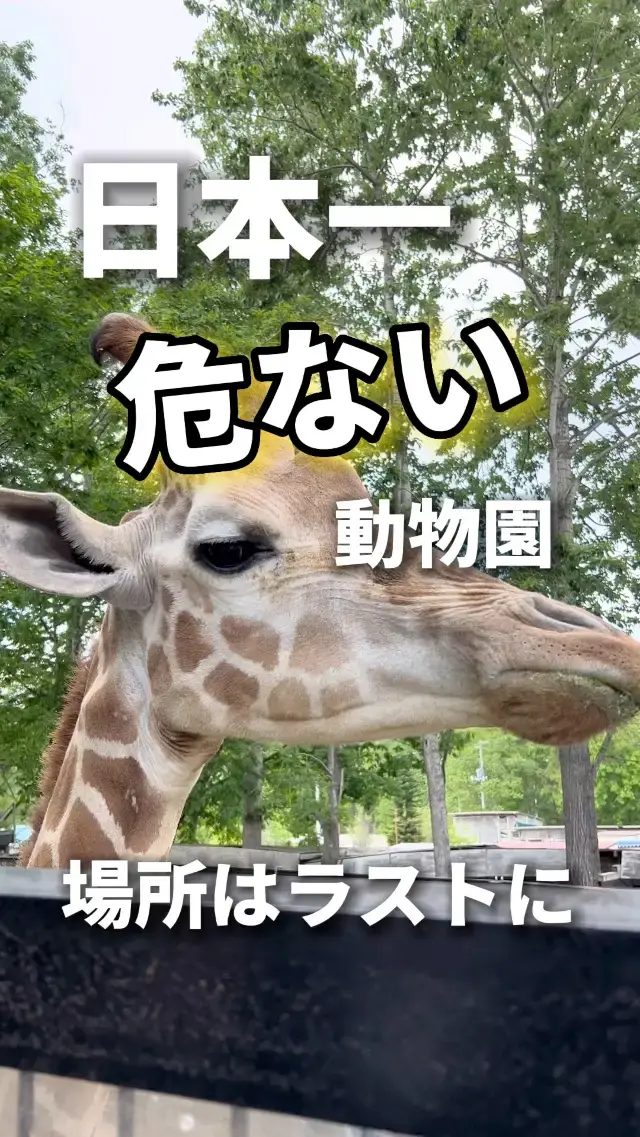 あぶない動物園