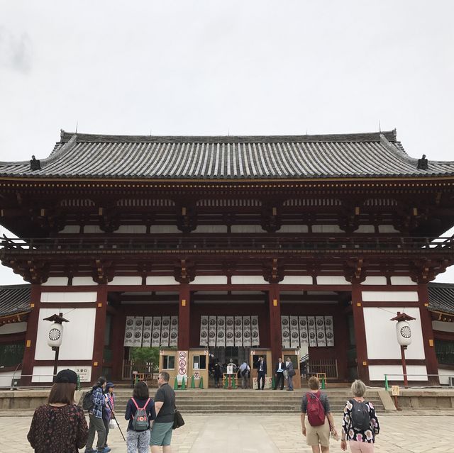 日本奈良 ｜ 東大寺 奈良公園 春日大社