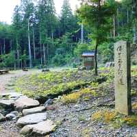 【京都】お釈迦様の仏足石