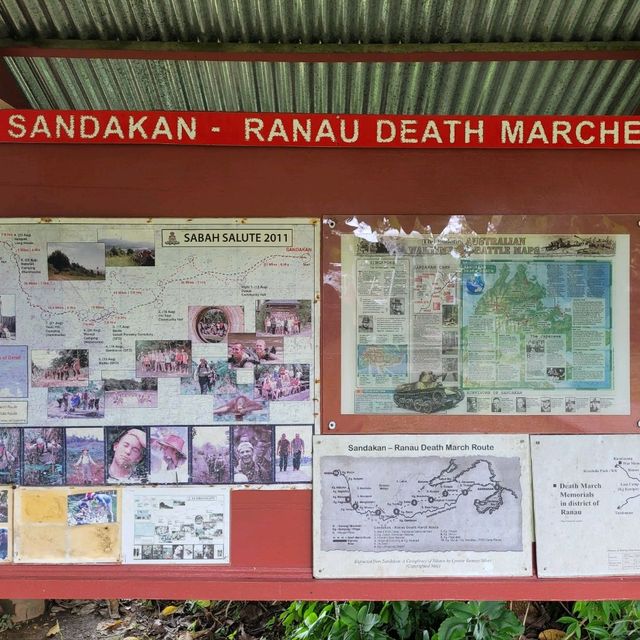SABAH TEA