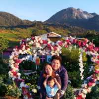 On top of the 'world' at Apo Flower Garden