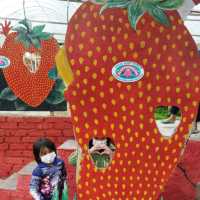 Big Red Strawberry Farm 🍓