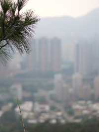屯門徑彩虹欄杆
