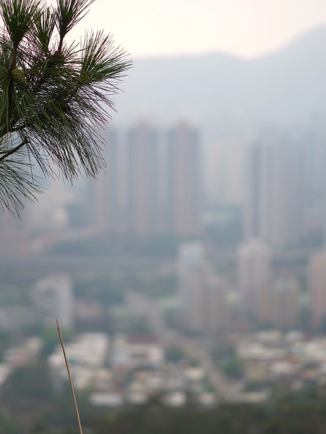 屯門徑彩虹欄杆