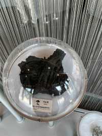 少有火山小知識展覽