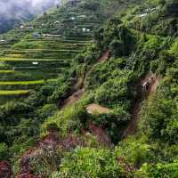 Beaty of the North - Rice Terraces 