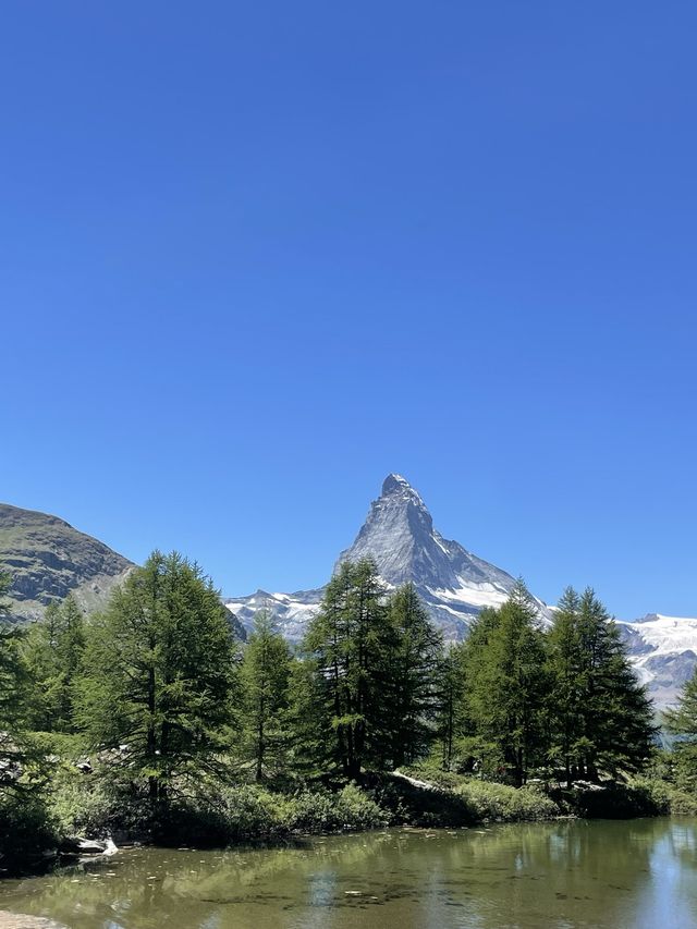 스위스 여행의 꽃, 마테호른🏔 스위스 여행의 꽃, 마테호른🏔
