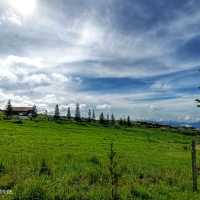 Great moment in nature view