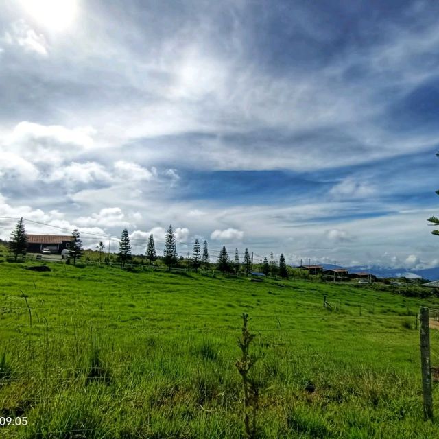 Great moment in nature view