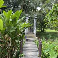 ร้านคาเฟ่ลับๆในป่า บรรยากาศธรรมชาติ