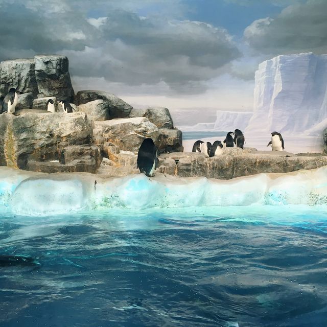 名古屋港水族館 は1日中楽しめる